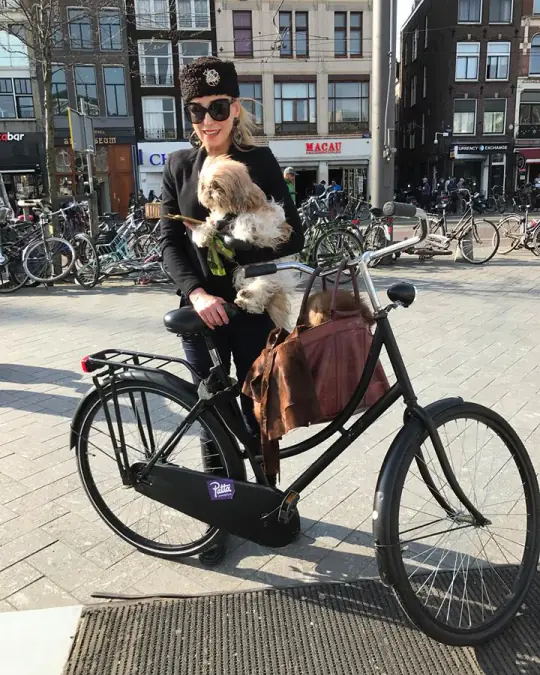 A woman on a Dutch bicycle with two small dogs in the basket