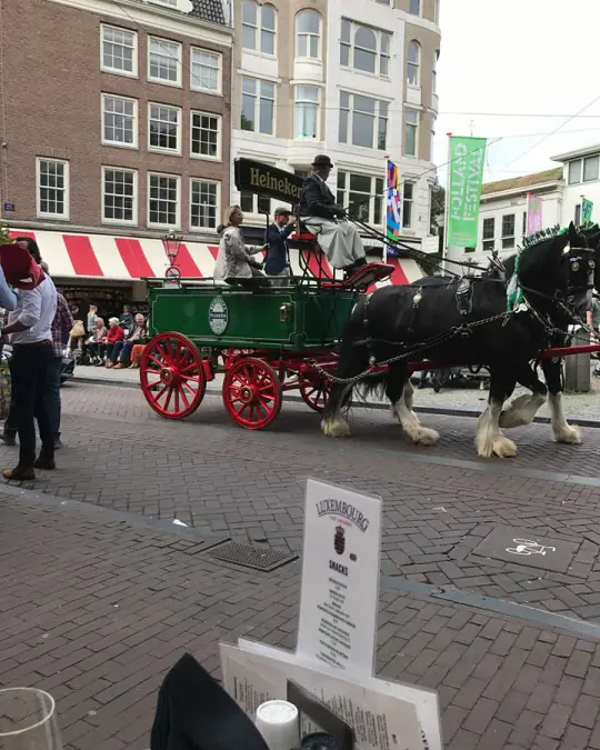 A horse and cart at the herring festival in the city centre