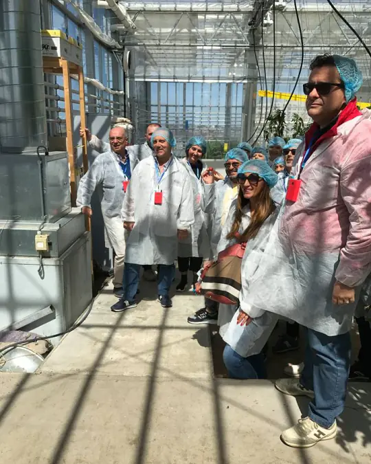 A group in protective coats inside a rooftop greenhouse in The Hague